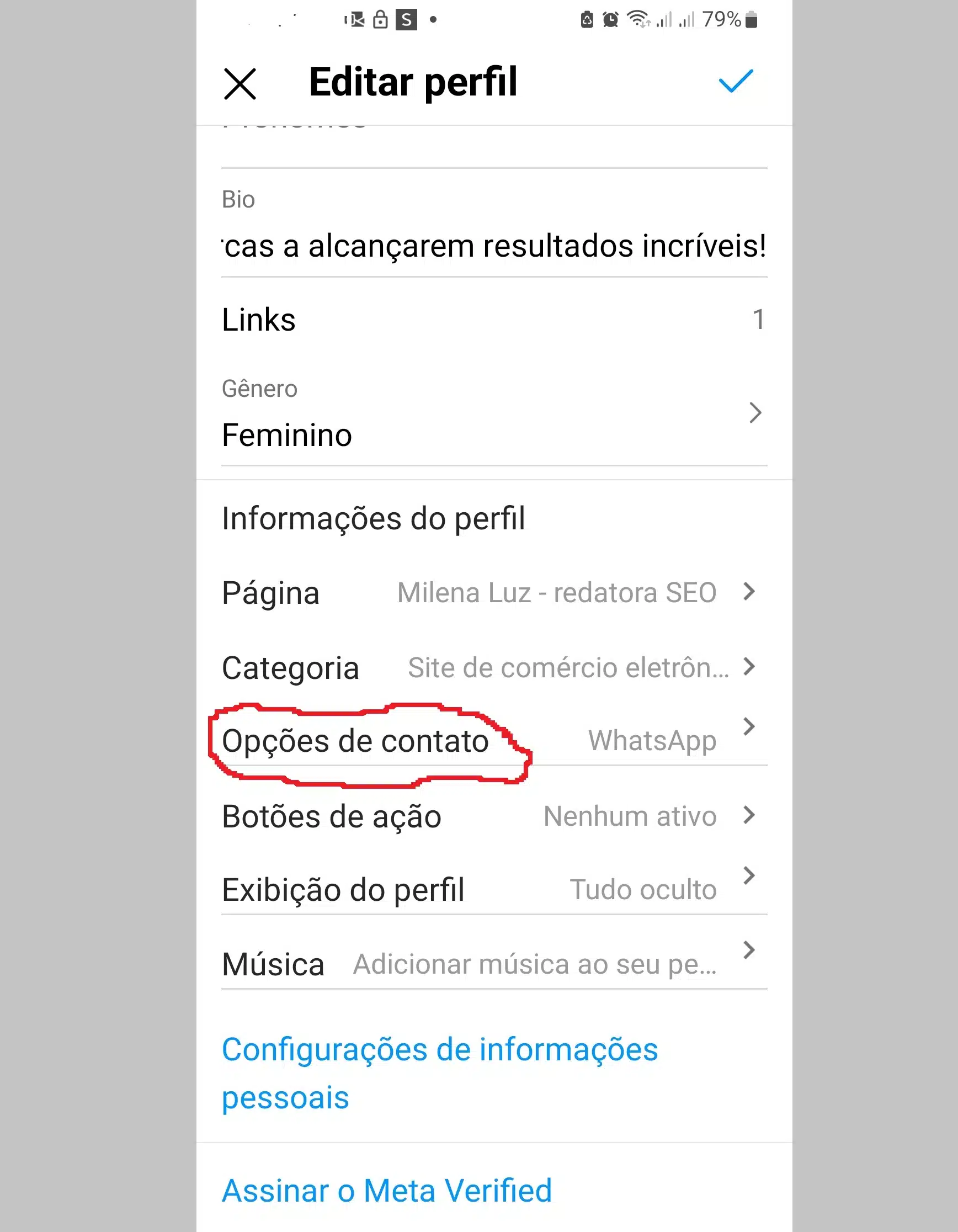 Como Adicionar um Link do WhatsApp na Bio do Instagram